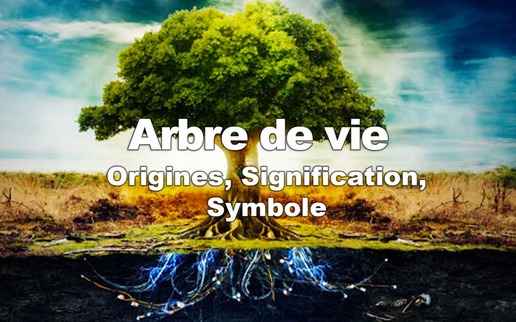 L  arbre  de vie origines signification  symbole 